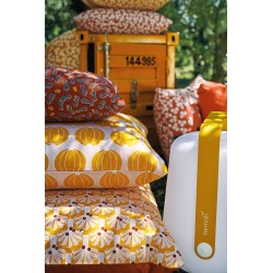 Coussin Envie d'ailleur cacahuètes
