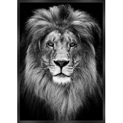 Tableau Wild Things Lion