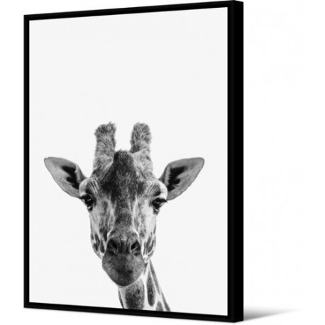 Tableau Wild Things Zèbre Tableau Wild Things Zèbre