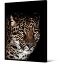 Tableau Steppe Déco Guépard