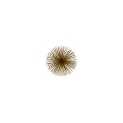 Oursin Gold