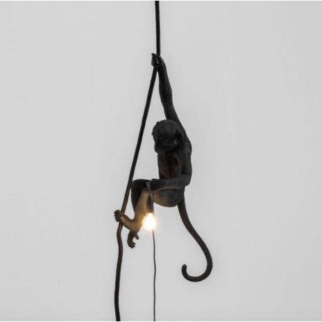 The Monkey (suspendu main droite)