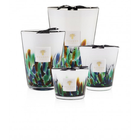 Bougie Rainforest - Amazonia