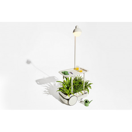 Dessertes Jolly Trolley