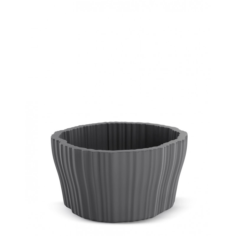 Cache-Pot Corteza