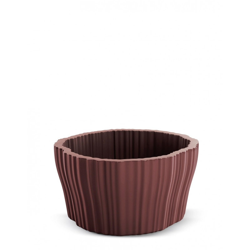 Cache-Pot Corteza