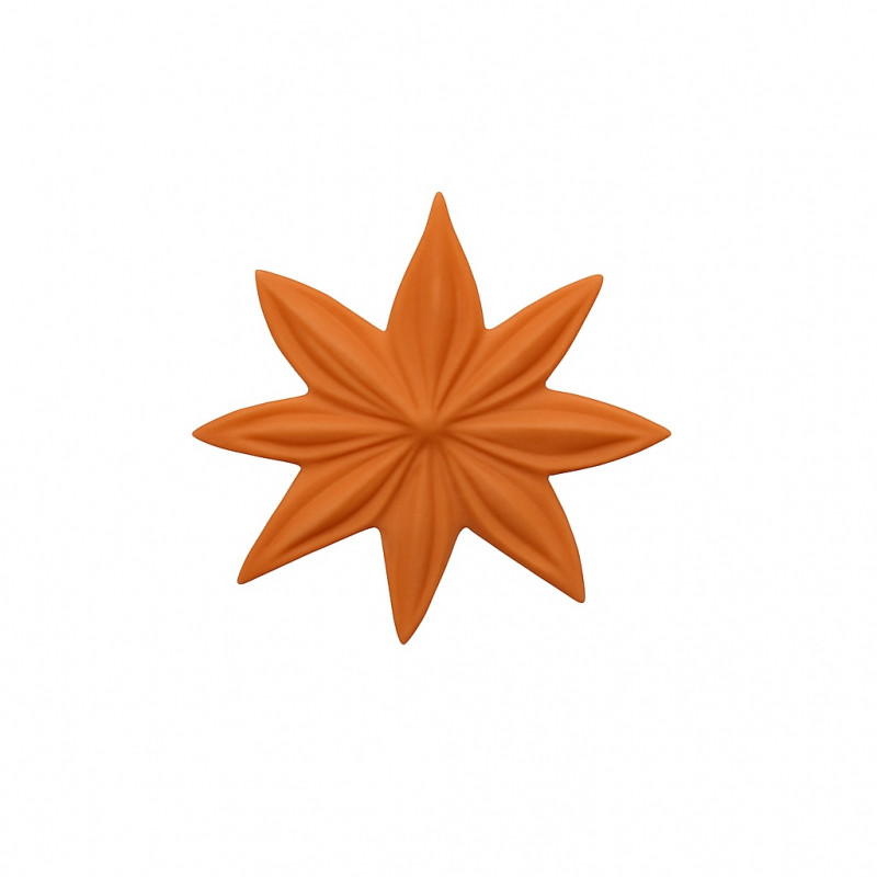 Badiane Céramique Janis