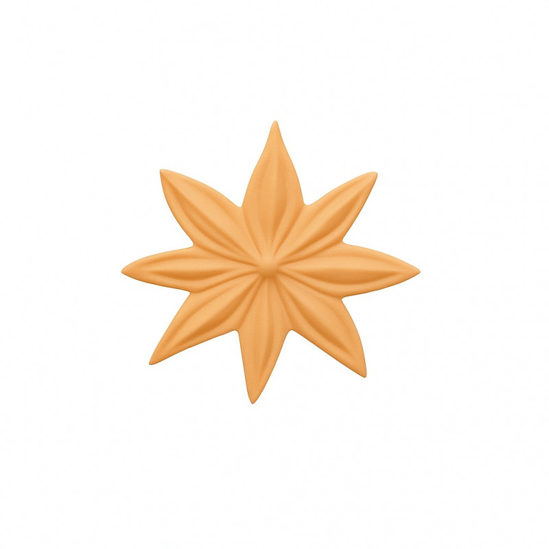 Badiane Céramique Janis