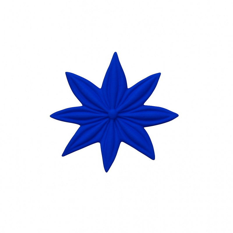 Badiane Céramique Janis