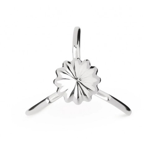 Presse-agrumes Juicy Salif