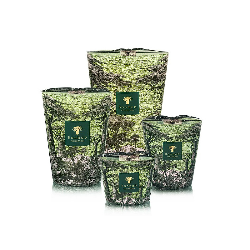 Bougie Parfumée Sacred Trees Touba