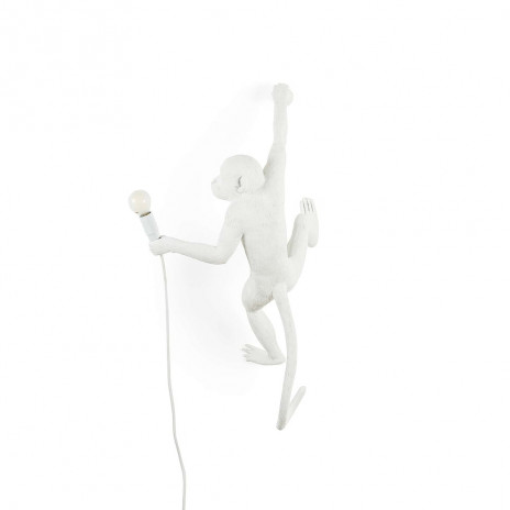 The Monkey Suspendu Main Droite