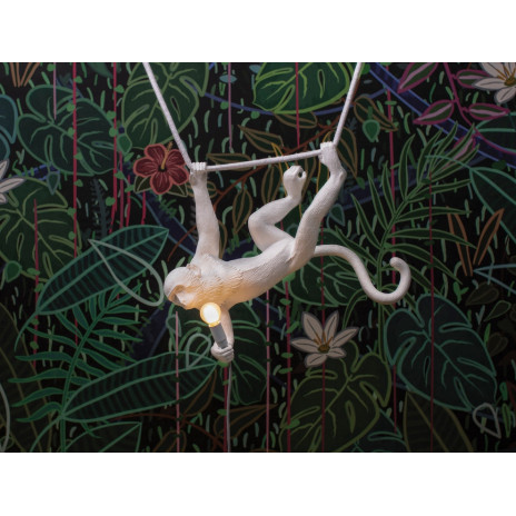 The Monkey Suspendu Corde